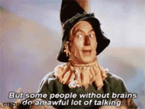 A Scarecrow From The Wizard Of Oz Is Saying But Some People Without Brains Do An Awful Lot Of Talking GIF