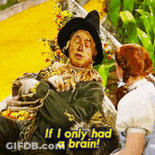 Scarecrow From Wizard Of Oz Says I Only Had A Brain GIF
