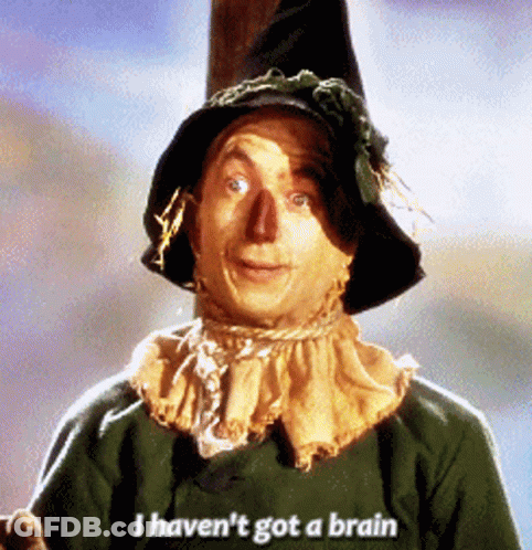 Scarecrow With I Haven't Got A Brain Shirt GIF