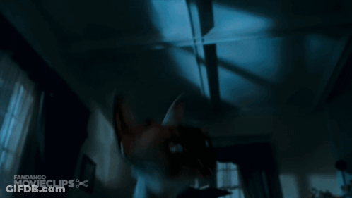 A Scene From A Movie Called Fandango Movieclips Is Displayed GIF