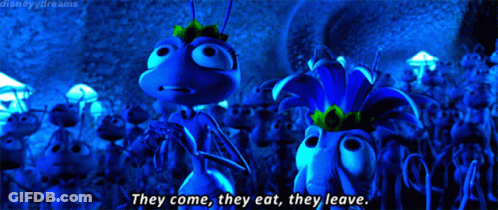 A Scene From Disney 'S A Bug 'S Life With The Words They Come They Eat They Leave On The Bottom GIF