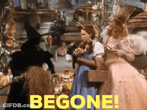 A Scene From The Movie The Wizard Of Oz With The Words Begone GIF
