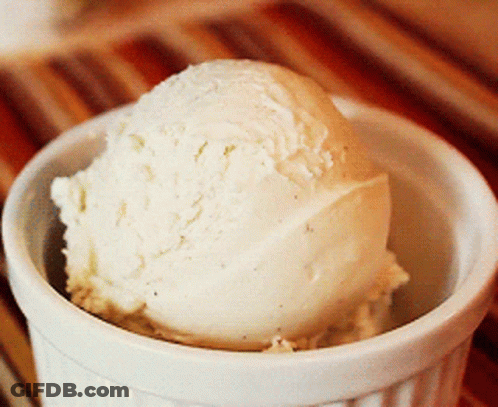 A Scoop Of Vanilla Ice Cream In A Bowl GIF