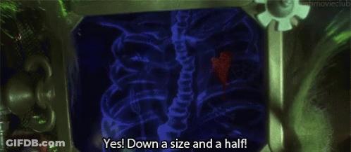 A Screen Says Yes Down A Size And Half GIF