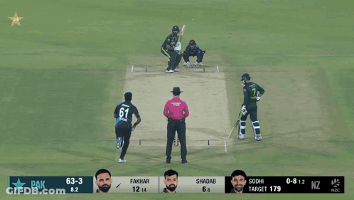 A Screen Shot Of A Cricket Match Between Pakistan And Nz GIF