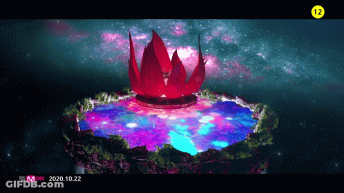 A Screen Shows A Lotus Flower In The Middle Of A Lake And The Date 2020.10.22 GIF