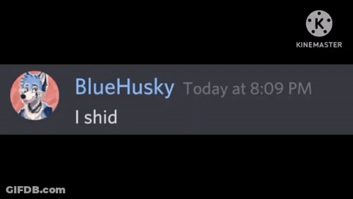 A Screenshot Of A Blue Husky Today At 8:09 Pm I Shid GIF