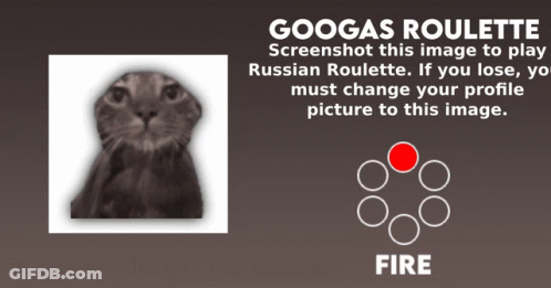 A Screenshot Of A Cat With The Words Googas Roulette Written Above It GIF