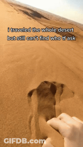 A Screenshot Of A Desert With The Words I Traveled The Whole Desert But Still Can 'T Find Who Tf Ask On It GIF
