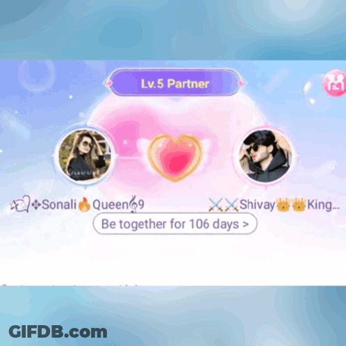 A Screenshot Of A Game That Says ' Lv.5 Partner ' On It GIF