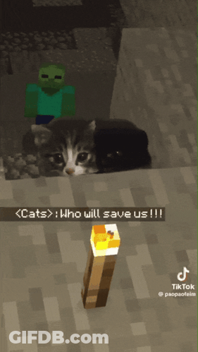 A Screenshot Of A Minecraft Game With A Cat And A Torch GIF