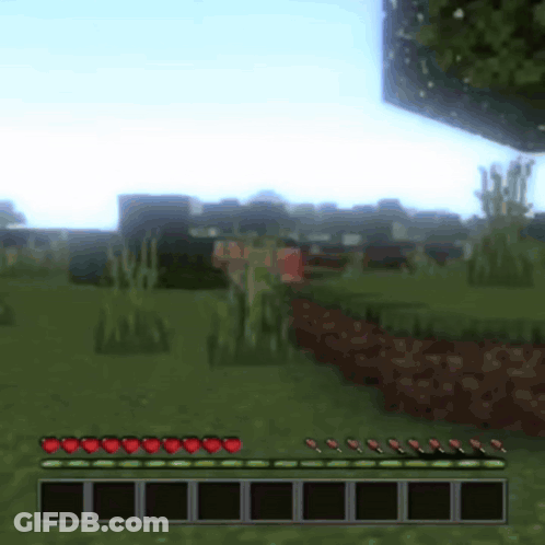 A Screenshot Of A Minecraft Game With Hearts On The Bottom GIF