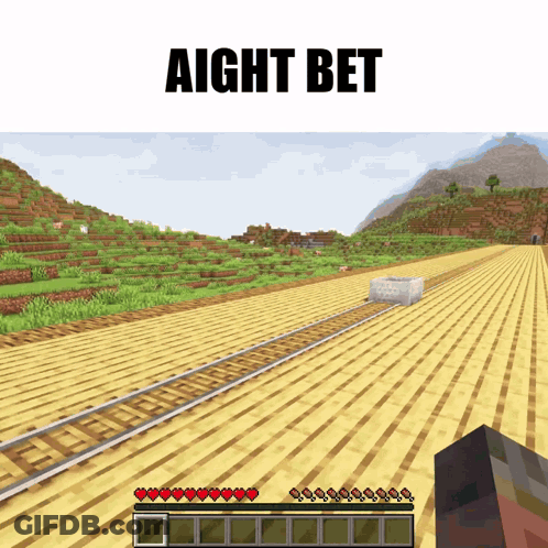 A Screenshot Of A Minecraft Game With The Words " Aight Bet " At The Top GIF