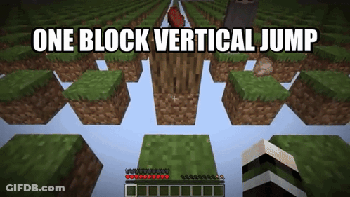A Screenshot Of A Minecraft Game With The Words One Block Vertical Jump GIF