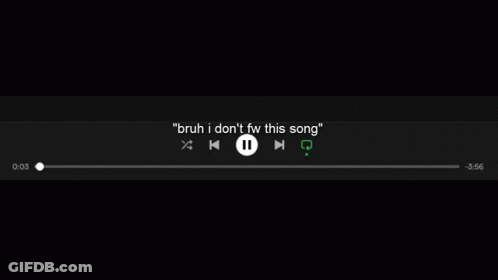 A Screenshot Of A Music Player With The Words `` Bruh I Do N't Fw This Song '' . GIF
