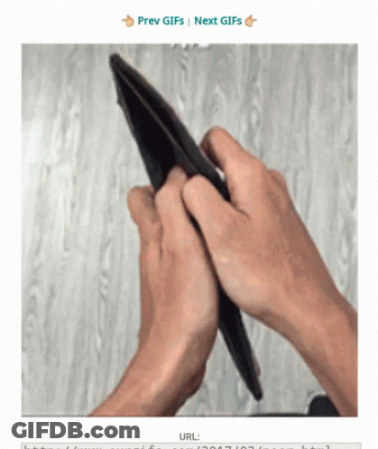 A Screenshot Of A Person Holding An Empty Wallet With The Words Prev Gifs Next Gifs At The Bottom GIF