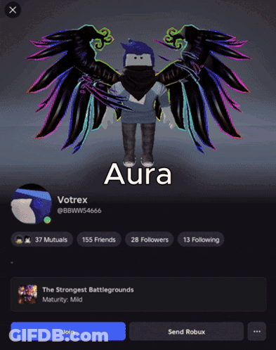 A Screenshot Of A Person 'S Profile With Aura Written On It GIF