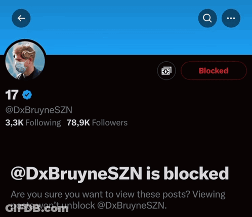A Screenshot Of A Person 'S Twitter Account That Has Been Blocked GIF