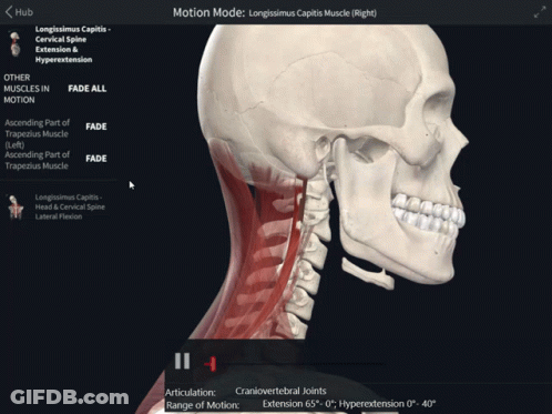 A Screenshot Of A Skeleton With The Words Motion Mode At The Top Of The Screen GIF
