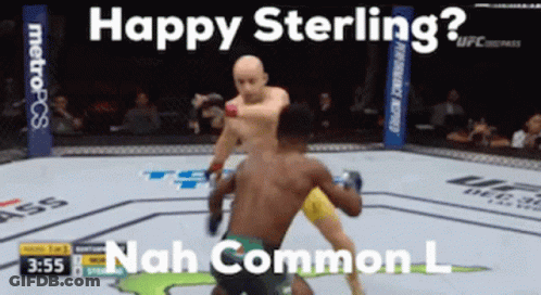 A Screenshot Of A Ufc Fight With The Caption Happy Sterling GIF