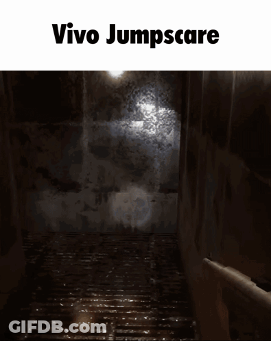 A Screenshot Of A Video Game Called Vivo Jumpscare GIF
