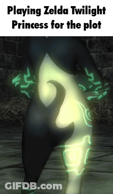 A Screenshot Of A Video Game Called Zelda Twilight Princess GIF