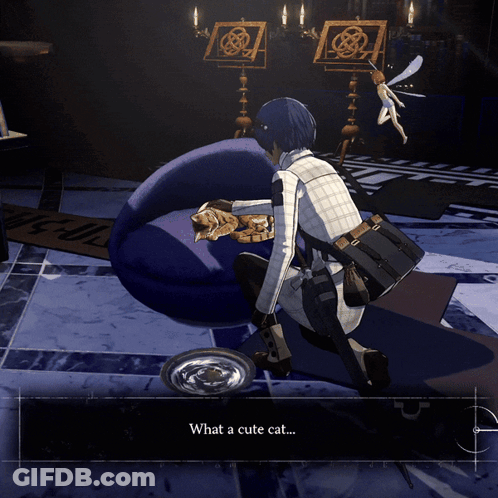 Man Kneeling Next To Cat Says What A Cute Cat GIF