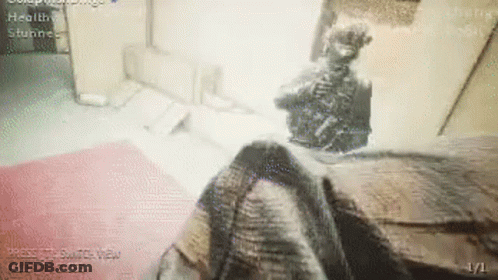 A Screenshot Of A Video Game Shows A Skeleton In A Room . GIF