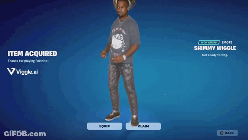 A Screenshot Of A Video Game That Says Item Acquired On The Bottom GIF