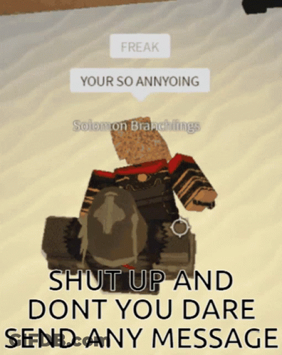A Screenshot Of A Video Game That Says Shut Up And Don T You Dare Send Any Message GIF