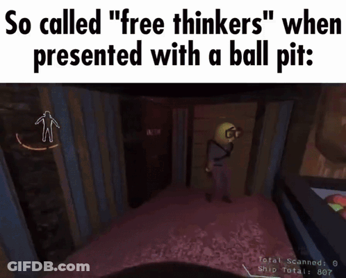 A Screenshot Of A Video Game That Says " So Called Free Thinkers " When Presented With A Ball Pit GIF