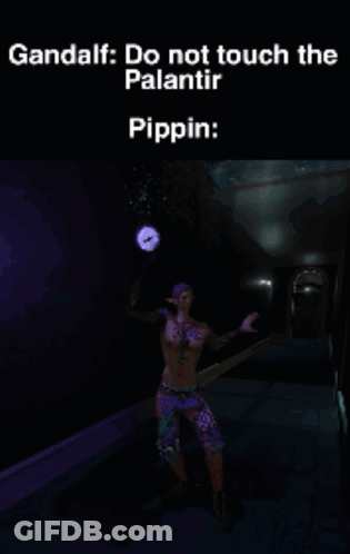 A Screenshot Of A Video Game With A Caption That Says Gandalf Do Not Touch The Palantir Pippin GIF