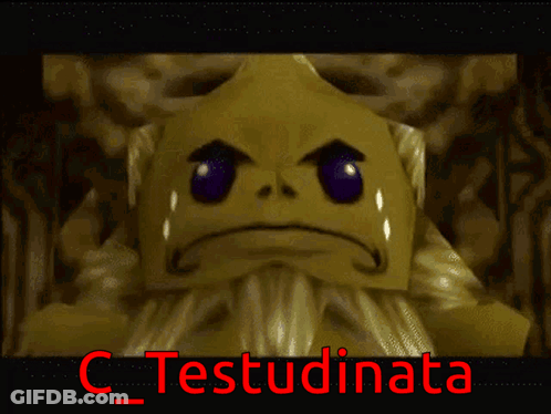 A Screenshot Of A Video Game With The Name C_testudinata On The Bottom GIF