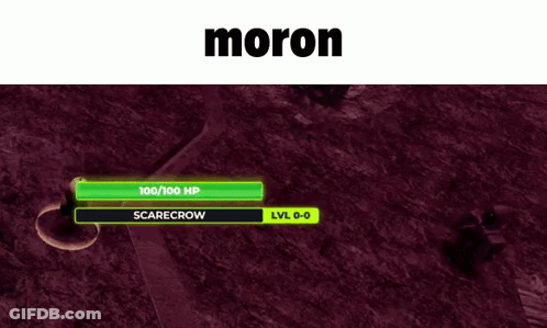 A Screenshot Of A Video Game With The Name Moron GIF