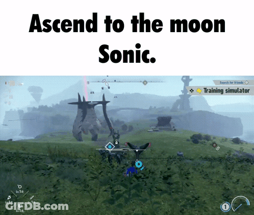 A Screenshot Of A Video Game With The Words Ascend To The Moon Sonic GIF