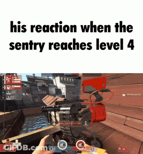 A Screenshot Of A Video Game With The Words " His Reaction When The Sentry Reaches Level 4 " GIF