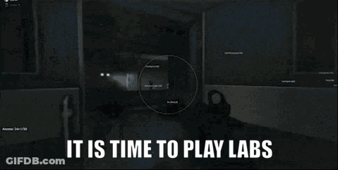 A Screenshot Of A Video Game With The Words It Is Time To Play Labs GIF