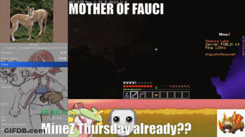 A Screenshot Of A Video Game With The Words Mother Of Fauci GIF