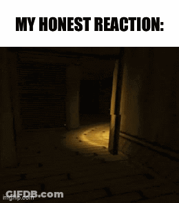 A Screenshot Of A Video Game With The Words " My Honest Reaction " At The Top GIF