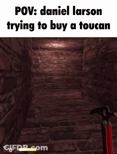A Screenshot Of A Video Game With The Words Pov Daniel Larson Trying To Buy A Toucan GIF