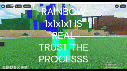 A Screenshot Of A Video Game With The Words " Rainbow 1X1x1 Is Real Trust The Process " GIF