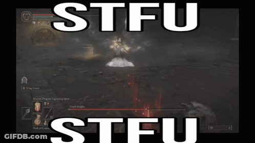 A Screenshot Of A Video Game With The Words Stfu Stfu On It GIF