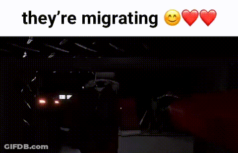 A Screenshot Of A Video Game With The Words They 'Re Migrating And Hearts GIF