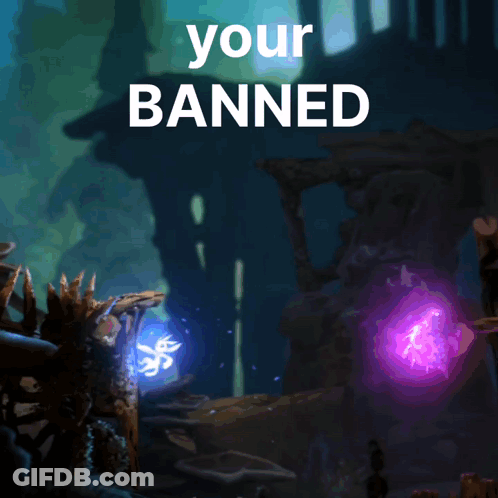 A Screenshot Of A Video Game With The Words " Your Banned " Above It GIF