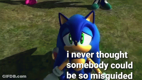 A Screenshot Of Sonic The Hedgehog With A Caption That Says I Never Thought Somebody Could Be So Misguided GIF