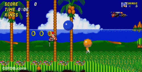 A Screenshot Of Sonic The Hedgehog With A Score Of 0 GIF