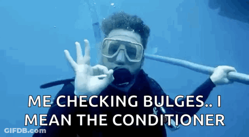 A Scuba Diver Giving An Ok Sign With The Words Me Checking Bulges I Mean The Conditioner Written Below Him GIF