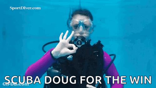 A Scuba Diver In A Purple Wetsuit Is Giving An Ok Sign Underwater . GIF