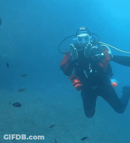 A Scuba Diver Is Being Helped By Another Scuba Diver In The Water GIF
