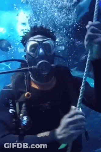 A Scuba Diver Is Holding A Rope While Wearing A Wetsuit That Says Aqua GIF